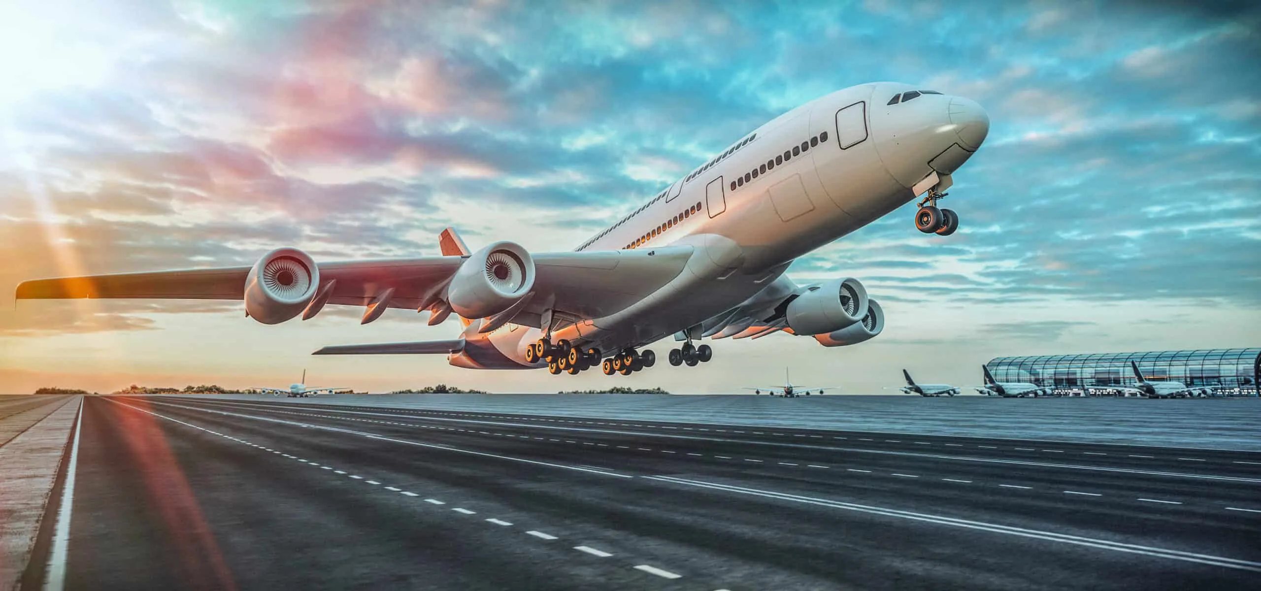 Flugzeuglärm verursacht Hörschäden bei Vögeln?